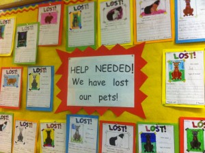 Our lost pet posters