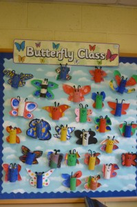 butterfly 3rd class 063